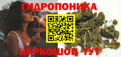 гидра Лесосибирск