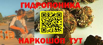 гидра Лесосибирск
