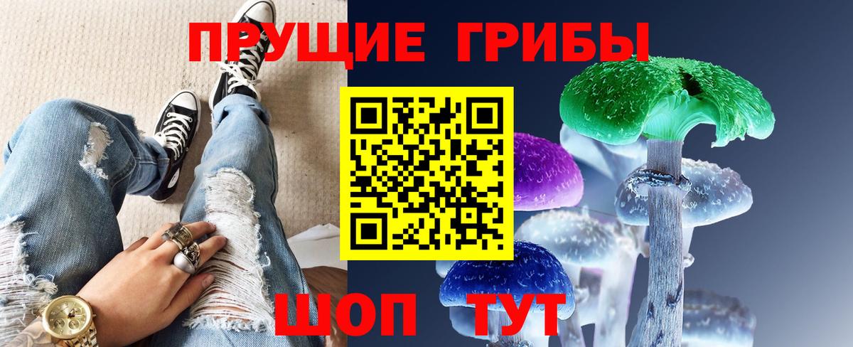 Псилоцибиновые грибы прущие грибы Донецк